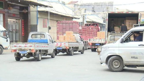 马路变货运场 占道卸货的隐患与道路运输安全之困