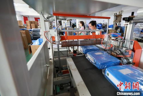 年产值2亿元 河北邢台一小乡村用档案制品让村民走上致富路